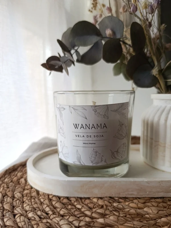 IMG_20250929_200257 Vela de Soja Tennesse